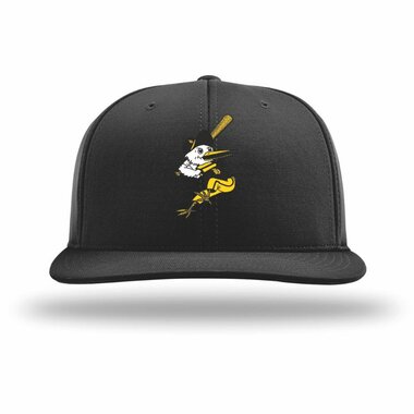 Herons PTS20 FlexFit Cap